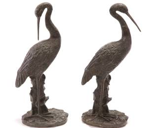 Bronze herons