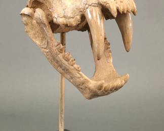 Sabertooth Tiger Resin Sculpture