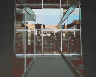 Vintage Richard Estes Print