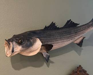 mounted bass