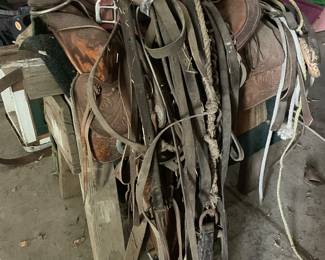 horse tack and saddles