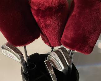 "Lady Burke" Pro Patty Burke Women's Beginner Golf Club Set w/Putter