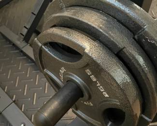 home workout bench with weights