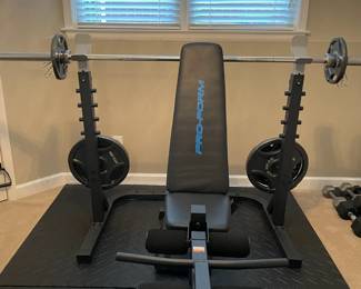 home workout bench with weights