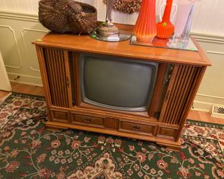 Tv with tambor door