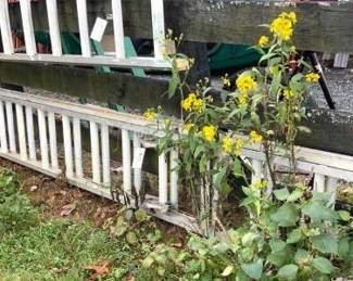 Bid now at https://bid.damewoodauctioneers.com/ui/auctions/106342