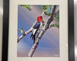 Framed Photograph of a Bird