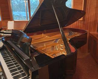 K. Kawai 74" KG - 7D