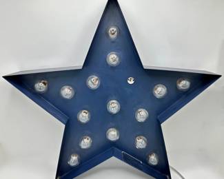 Restoration Hardware Illuminated Star Wall Hanging Decor Light
Lot #: 16