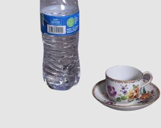 33. Meissen Porcelain Floral Pattern Teacup and Saucer