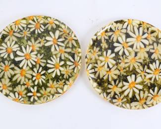 Lot 6290 Vintage Set of Two Resin Floral Plates