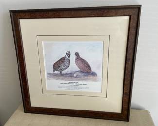 Lot 5867 Framed Bird Art  Mearns Quail