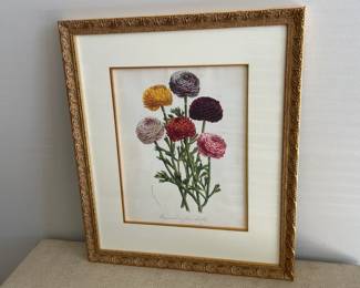 Lot 5857 Botanical Framed Art  Ranunculus Flowers