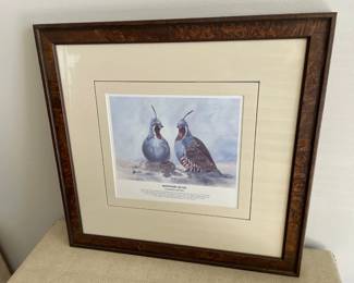 Lot 5856 Framed Bird Art  Mountain Quail