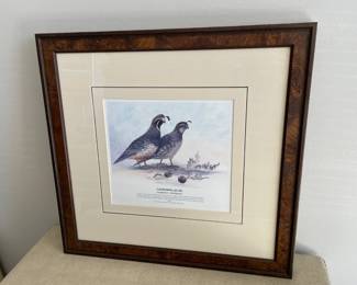 Lot 5855 Framed Bird Art  California Quail