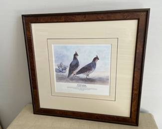 Lot 5853 Framed Bird Art  Scaled Quail