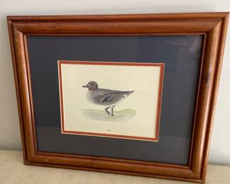 Lot 5854 Framed Art  Teal Bird Print
