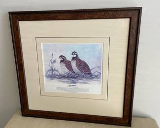Lot 5852 Framed Bird Art  Bob White Print