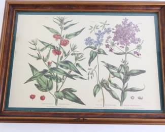 Lot 5030 Botanical Art  Glass Top Serving Tray