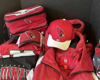 Arizona Cardinals Lot