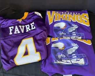 NFL Minnesota Vikings Lot 