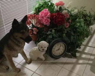 Time For Real Plants And Pets