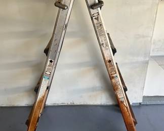 Adjustable Extension Ladder