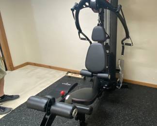 M2 Inspire home gym machine