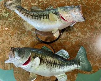 Lot 128   5 Bid(s)
2 Taxidermy Mounted Bass Fish