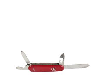 auction.busybeever.com