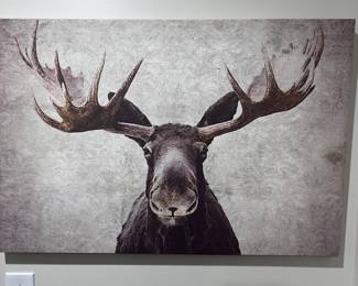 Moose canvas print