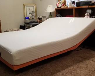 Adjustable queen bed
(New)