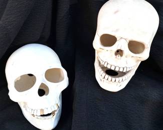 HALLOWEEN SKULLS