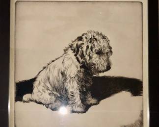 Pen and ink - come adopt me!