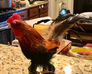 Oh, do you already have a chicken?  If so, just ignore this