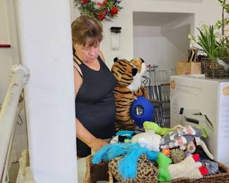 Tamye found her prize!!  - Dog Toys