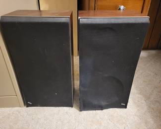 Bang & Olufsen BEOVOX S-45 Speakers