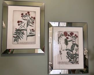 Pair of botanicals with mirrored frames, portfolio collection 28" x 20"