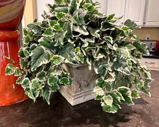 NDI planter with mounding vine 16"H x 20"W