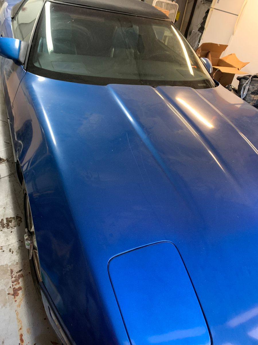 Timeless Treasures presents Pocketful of Sunshine starts on 10/20/2023