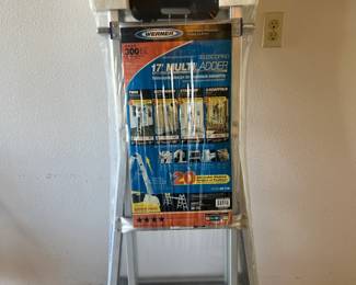 Werner Multi Ladder