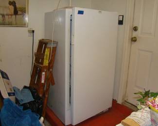 Medium Size Upright Freezer