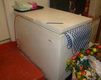 Chest Freezer