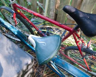 Blue women's Schwinn Cruiser bicycle