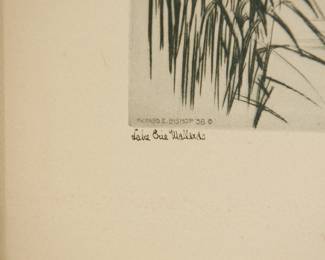 Signature, date, and title detail at lower left of framed etching by Richard E. Bishop '38, titled, "Lake Erie Mallards"