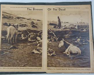 Interior page of "RAW WAR: The Uncensored Story of the World War in Photogravure" published by The Chicago Daily News. "Bivouac of the Dead"