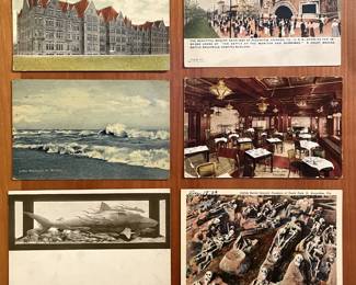 A small sample of the hundreds of postcards: "Cobb Hall, Chicago University, Chicago" & "Riverview, Chicago, IL" & "Lake Michigan in Winter" & Congress Hotel Chicago & "Indian Burial Ground, Fountain of Youth Park, St. Augustine, FL"