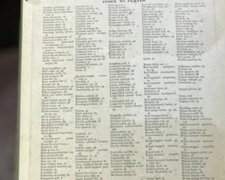 Interior page of "Birds of New York" by Eaton, published by The University of the State of New York State Museum in 1916