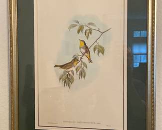 Gould print #1