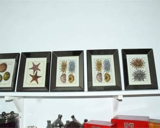 28. Five 5 Decorative Prints